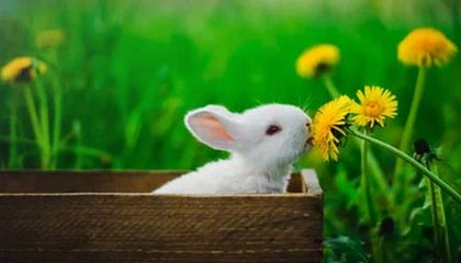 leyu乐鱼体育综合-逆转奇迹：那些让人热血沸腾的欧冠逆转比赛，欧冠最不可思议的逆转