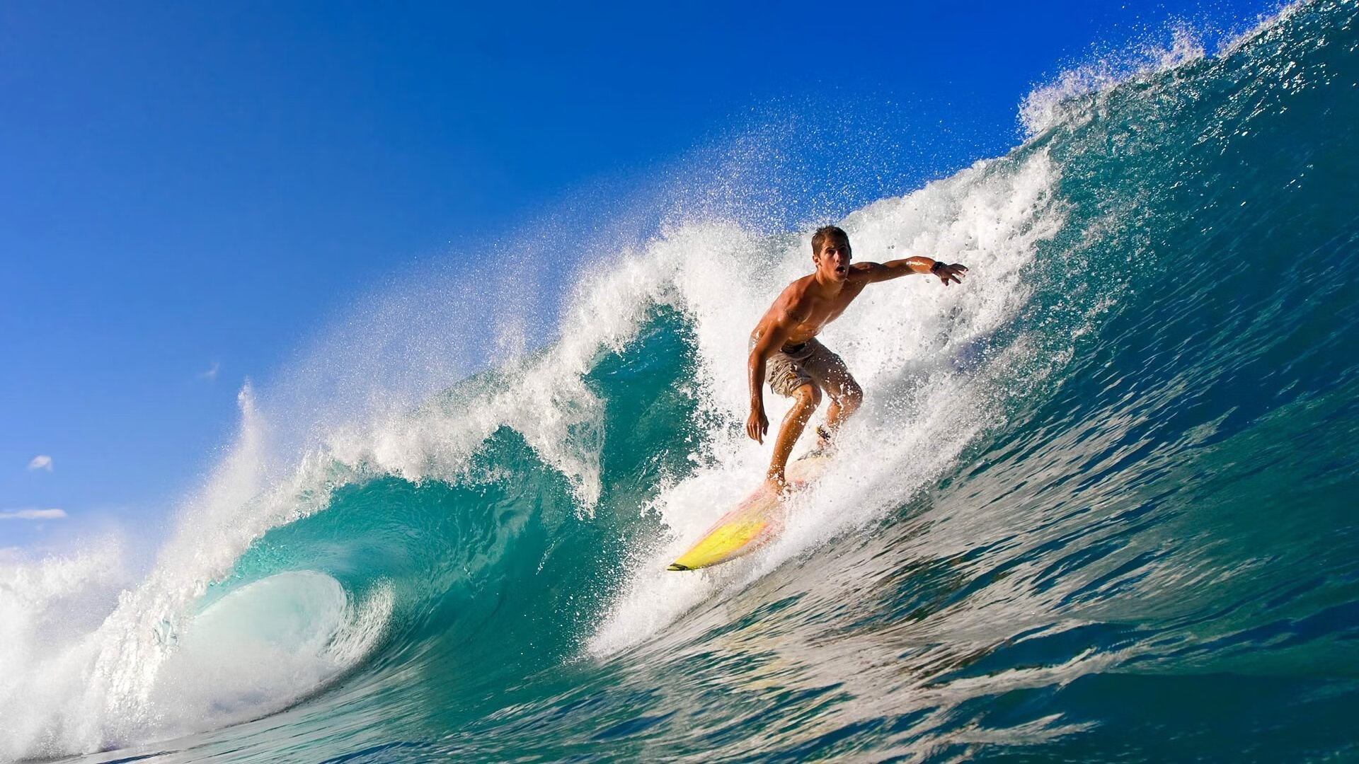 “多维度纪录分析系统带动运动员训练变革——科学训练释放潜能”