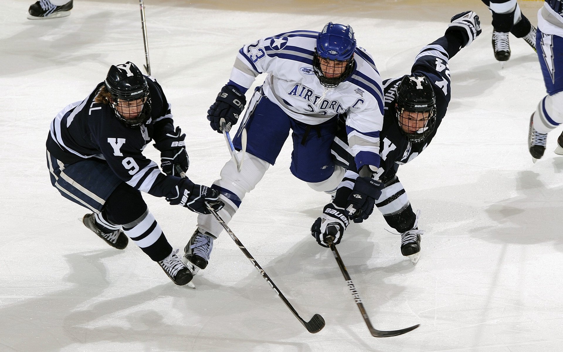 球队支持:最热情的粉丝集体行为盘点,足球粉丝群